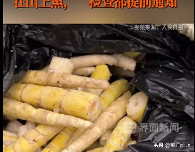 四川马边通报“硫磺熏制鲜竹笋”