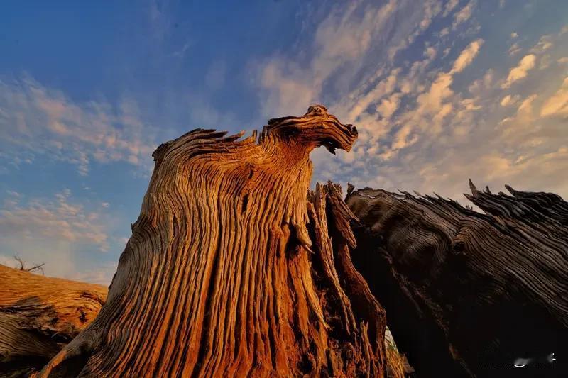 新疆伊犁的冬天总是来得又急又猛。教室里的瓷砖地面透着刺骨的寒气，即使穿着厚厚的棉