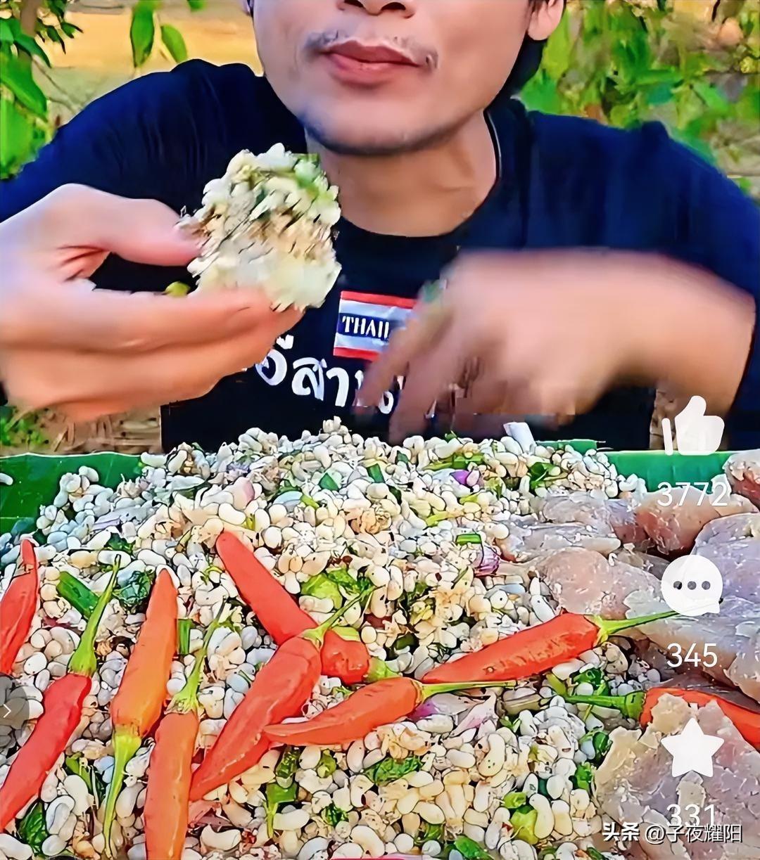 蚂蚁蛋，这种东西别说吃了，很多人可能见都没见过。
图中一泰国小哥就坐在野外品尝着
