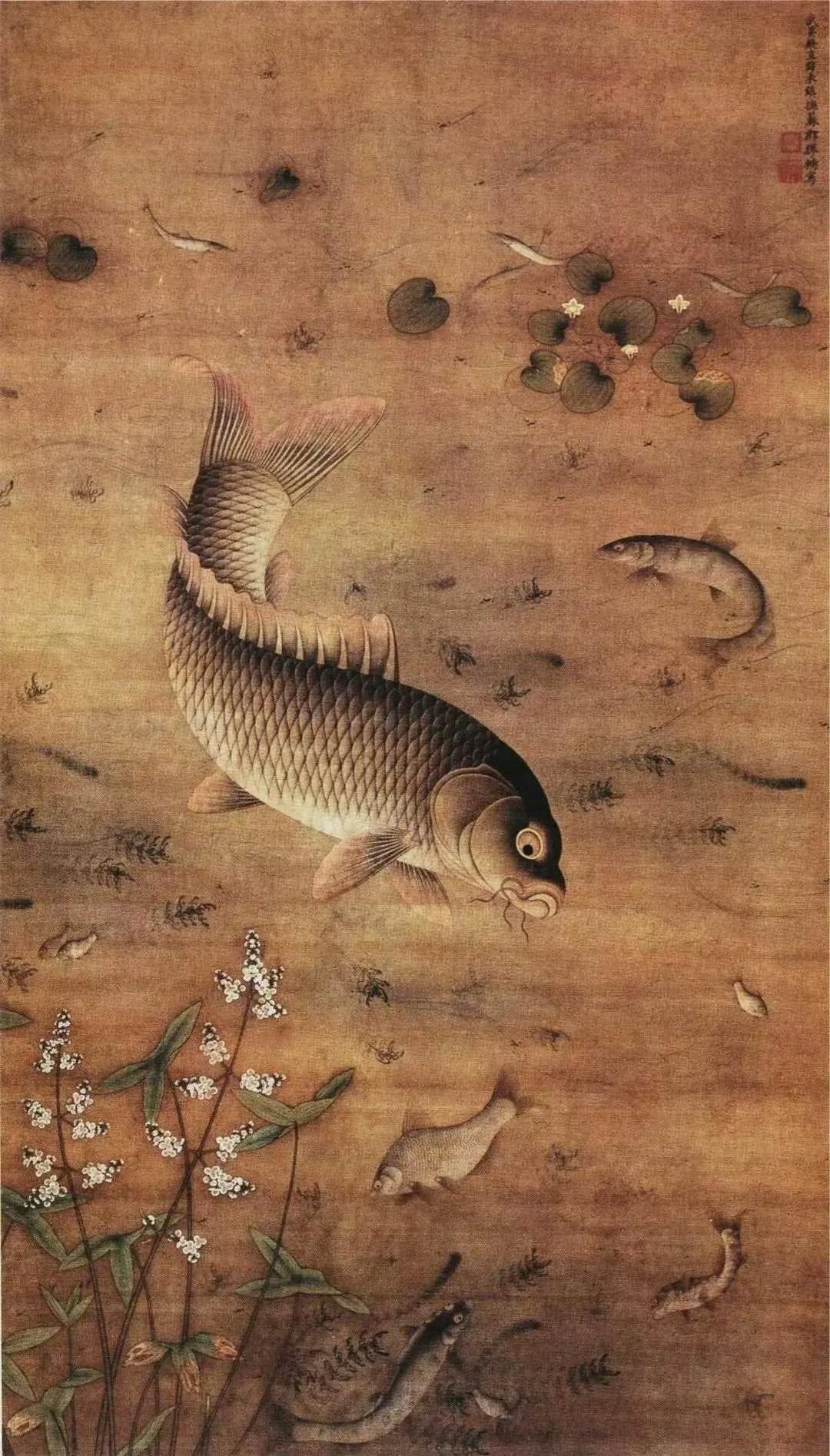 晒出你的画作网上找的几幅鱼的画，非常精彩的作品。
