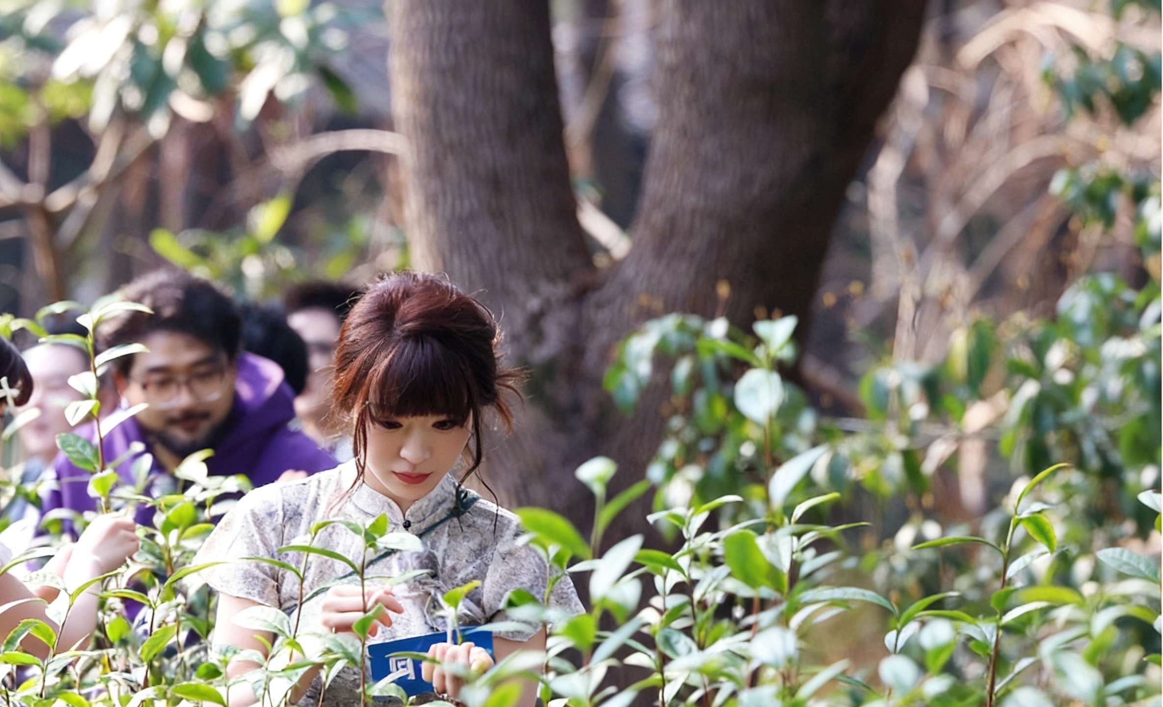 在苏州洞庭山炒茶的大爷大概没想到，有一天会和电竞选手出现在同一个画面里把电竞从线