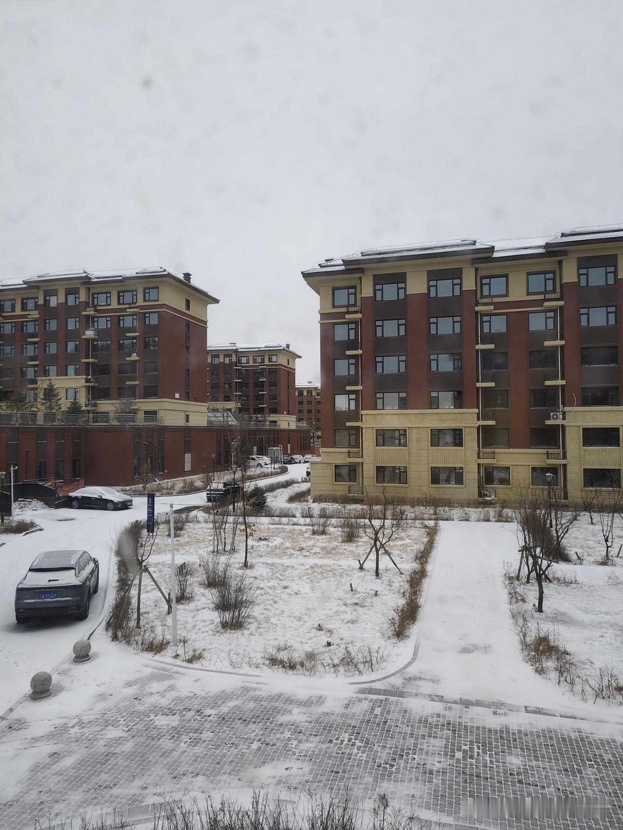 记录我的2026回到长春的第一场雪，洋洋洒洒的，这个季节一点儿雪，有助于清新空气