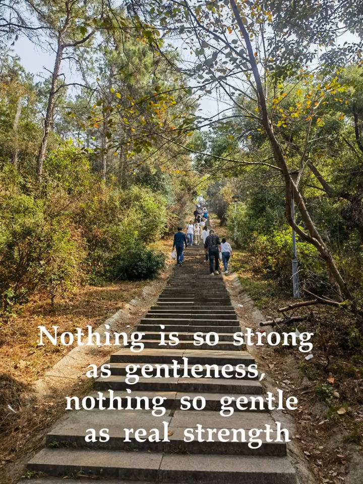 Nothing is so strong as gentleness，Nothi