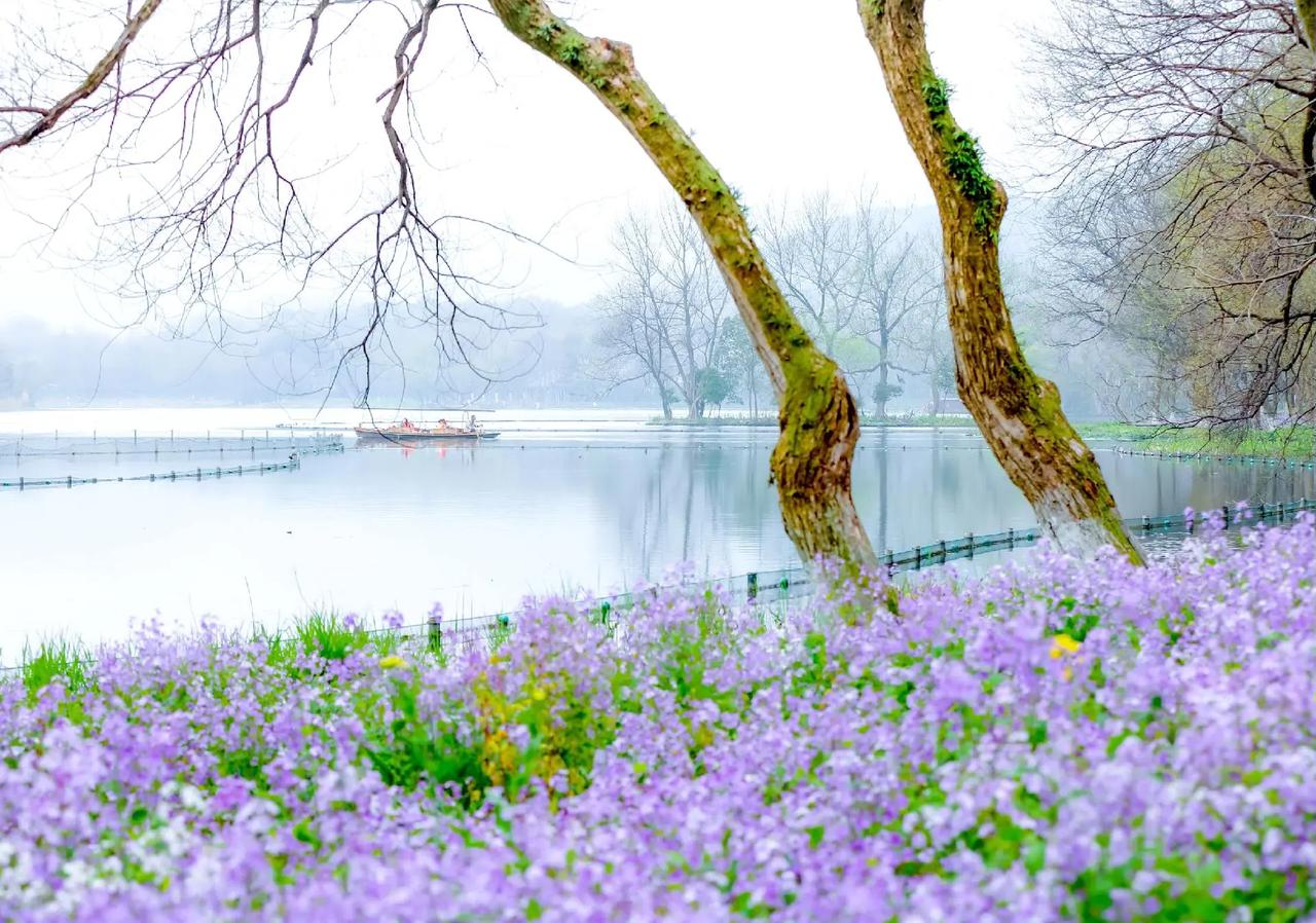 如今，“振兴县中”的呼声日益高涨，可究竟该如何实现这一目标呢？现实难题摆在眼前。