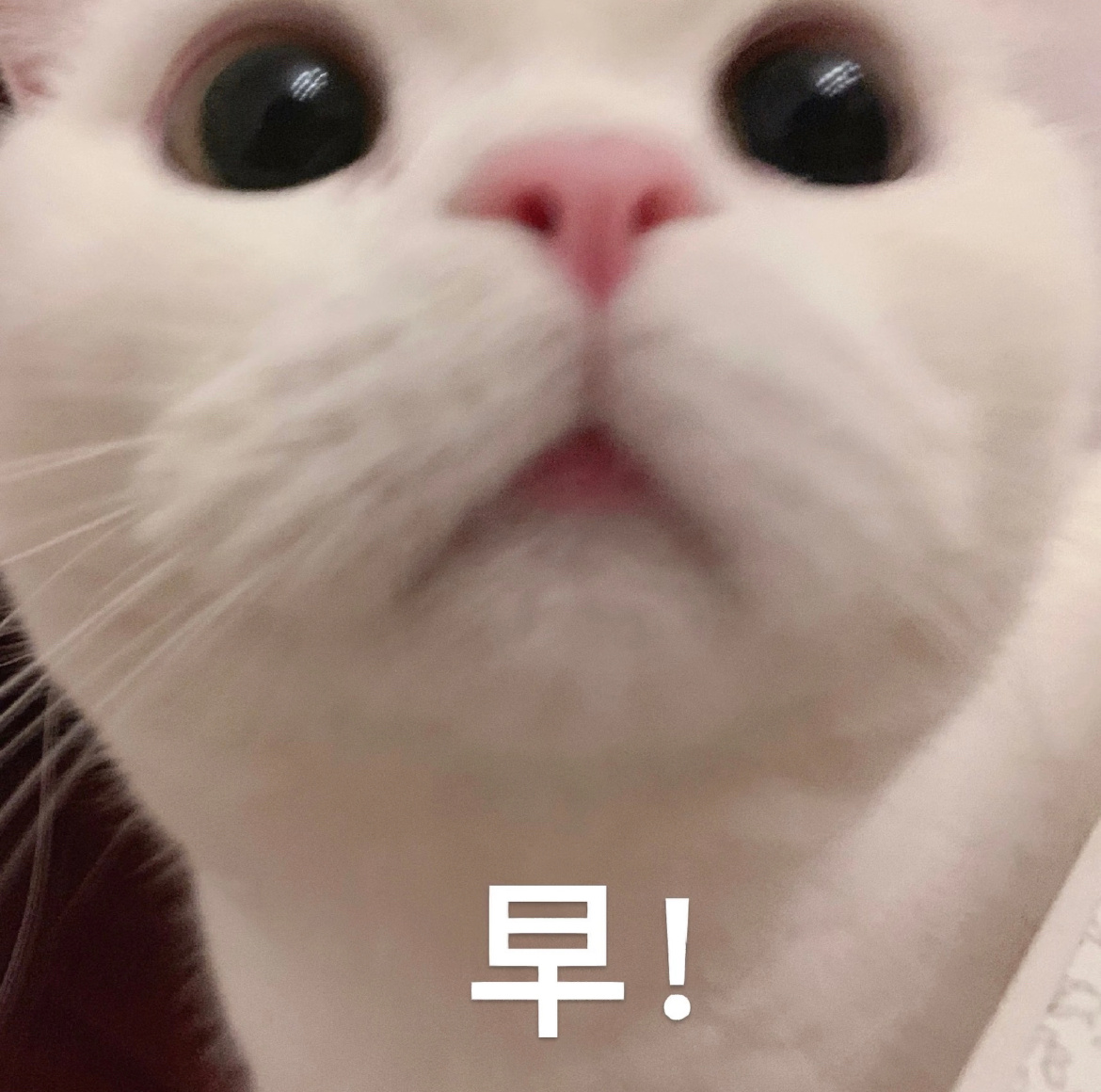 早上好家人们，今天星期天，主打一个且过且珍惜，好在清明小长假不远了，票都买好了吗