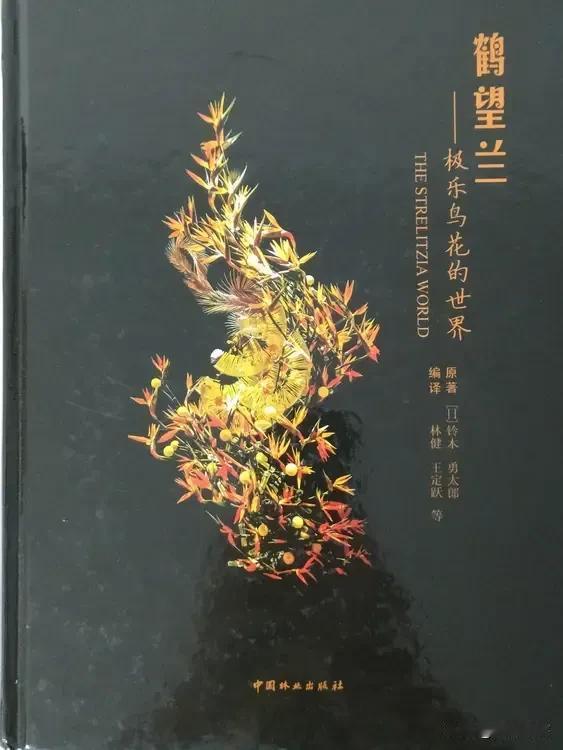 研究了一个月的鹤望兰，发现呼和浩特花卉市场上可能没有一株鹤望兰，应该都是尼古拉鹤