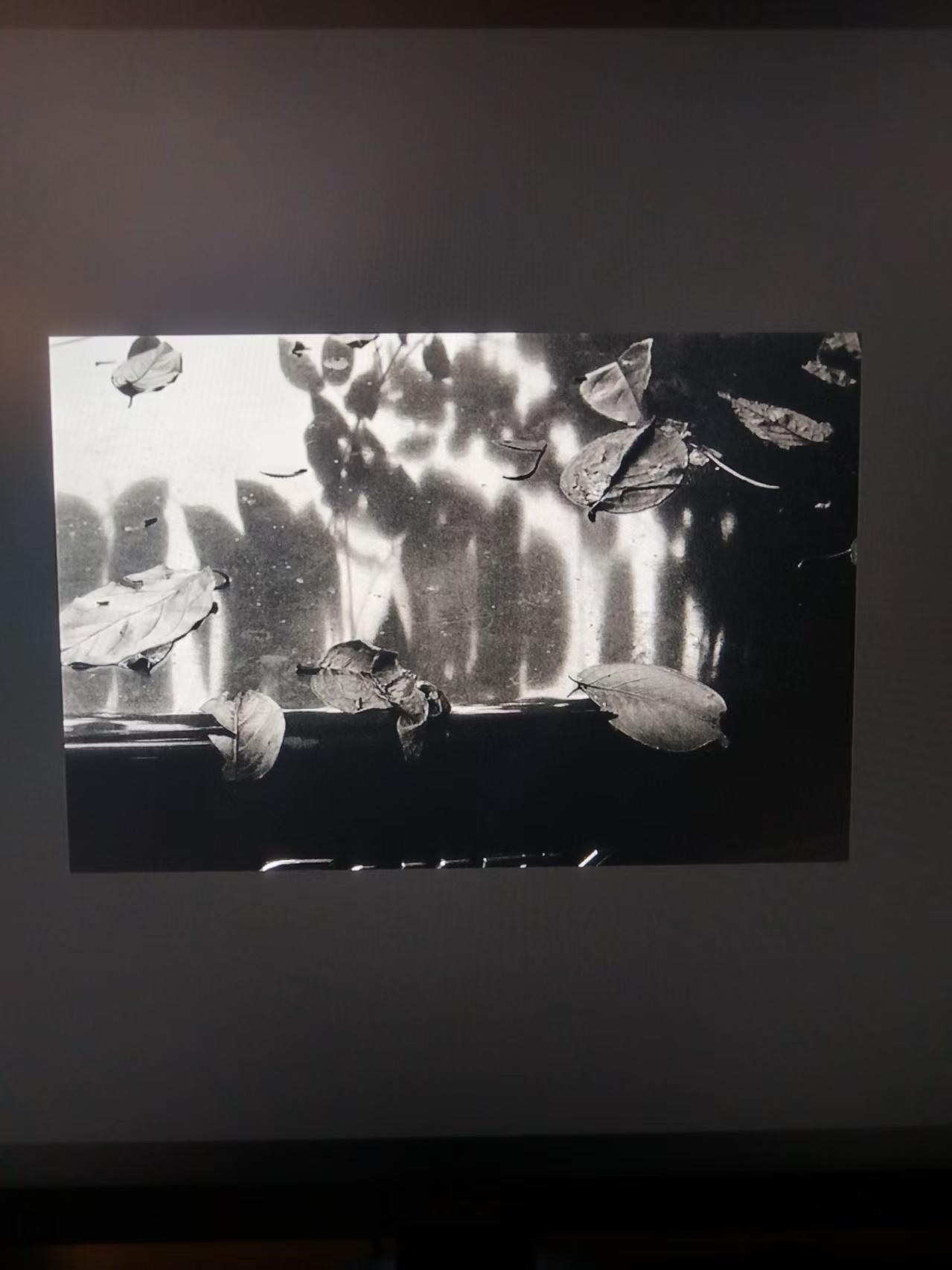 目击道存/心照神交，雨天的诗。

如今，多是无神论者，可是以我在绝对的孤独中，独