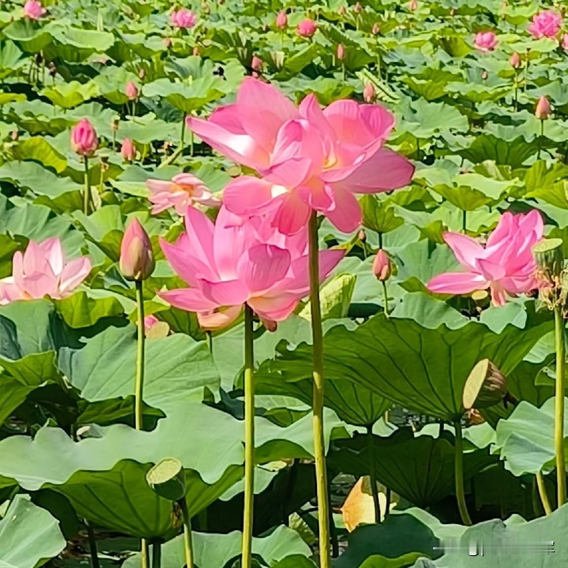 一个省级博物馆，出现那么低级错误，打错国家领导人的名字，打错红军的称谓，我觉得这