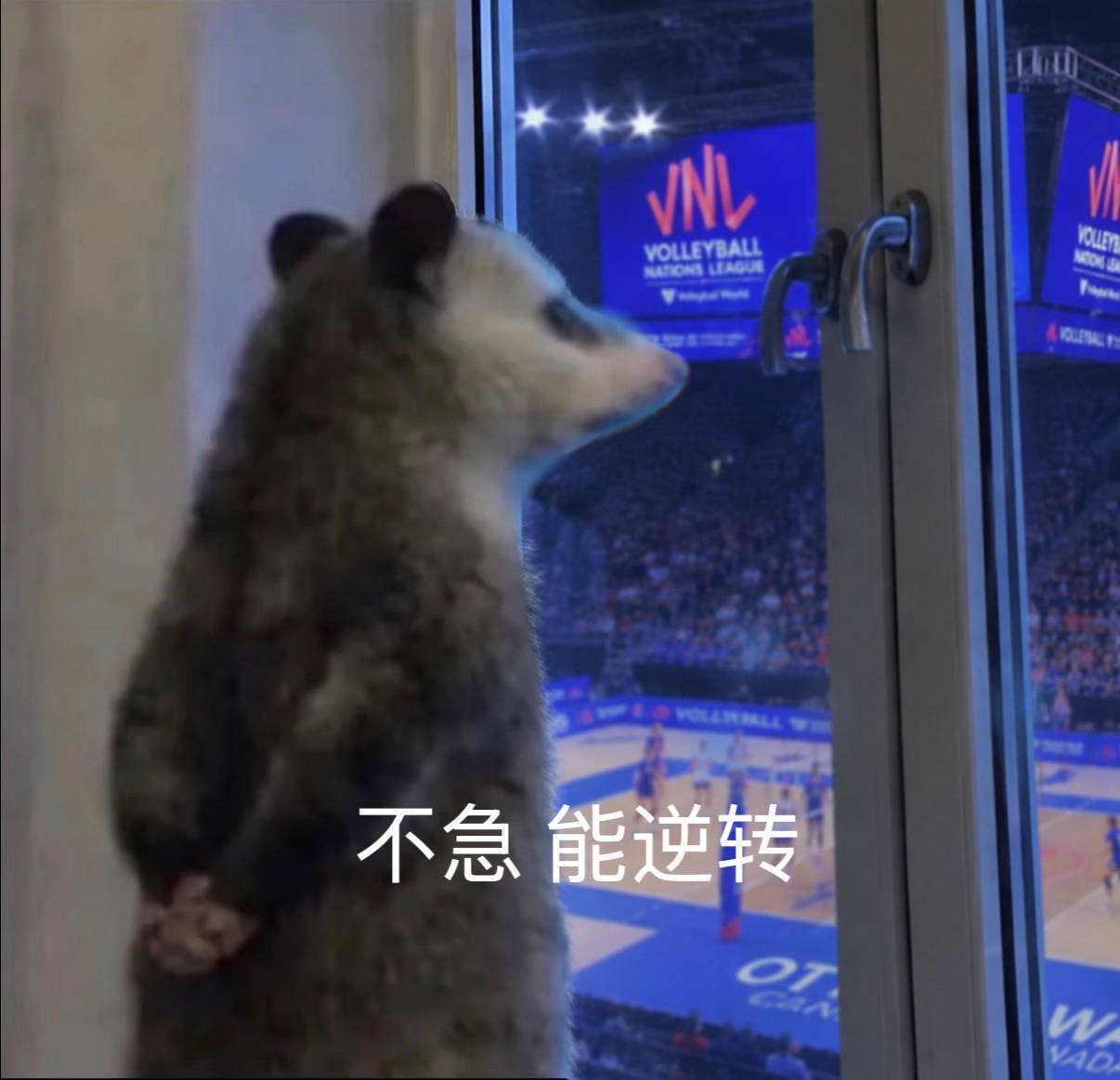 电视机前的吴梦洁：