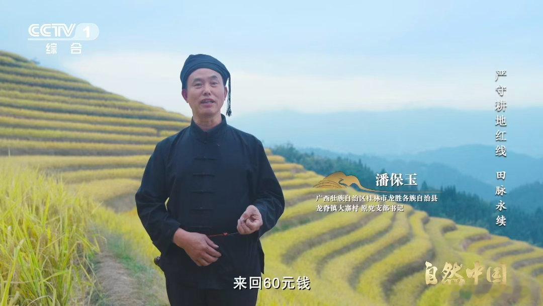 中国梯田美成油画 终于亲眼奔赴这片美景！层层叠叠的梯田铺满山坳，光影洒下来，活生