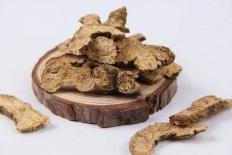 苍术白术临证妙用之我见


苍术和白术，这两种常见的中药材在传统中医中有着悠久的