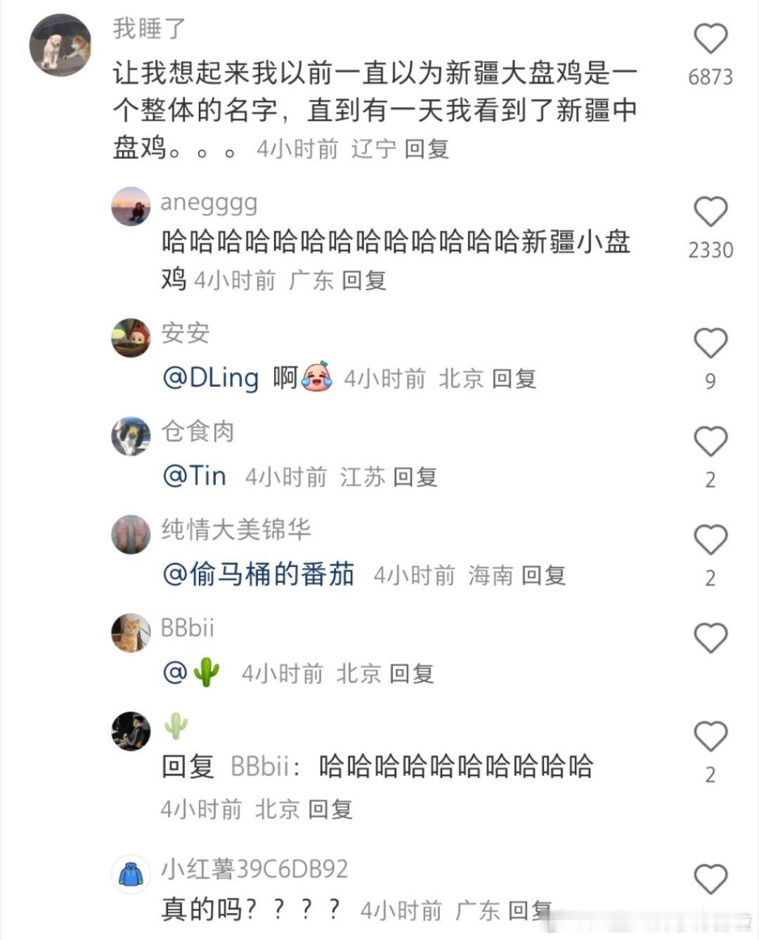 原来新疆大盘鸡不是一个整体的名字啊？？？？还有新疆中盘鸡啊 