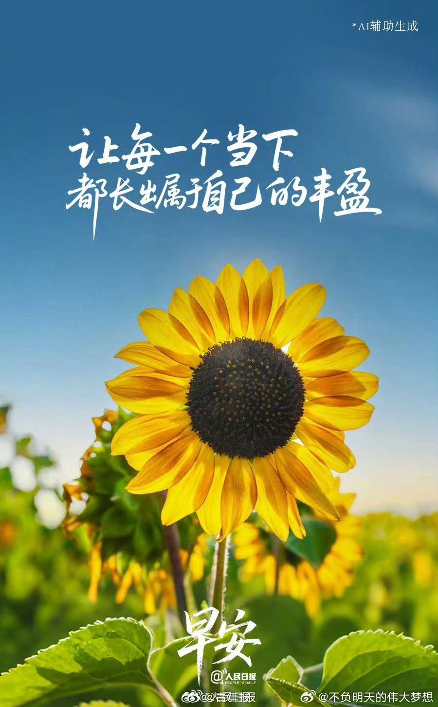 【懂得留白也是一种丰盈】总以为把时间填满才算充实，可弦一直紧绷，心也难免跟着焦灼