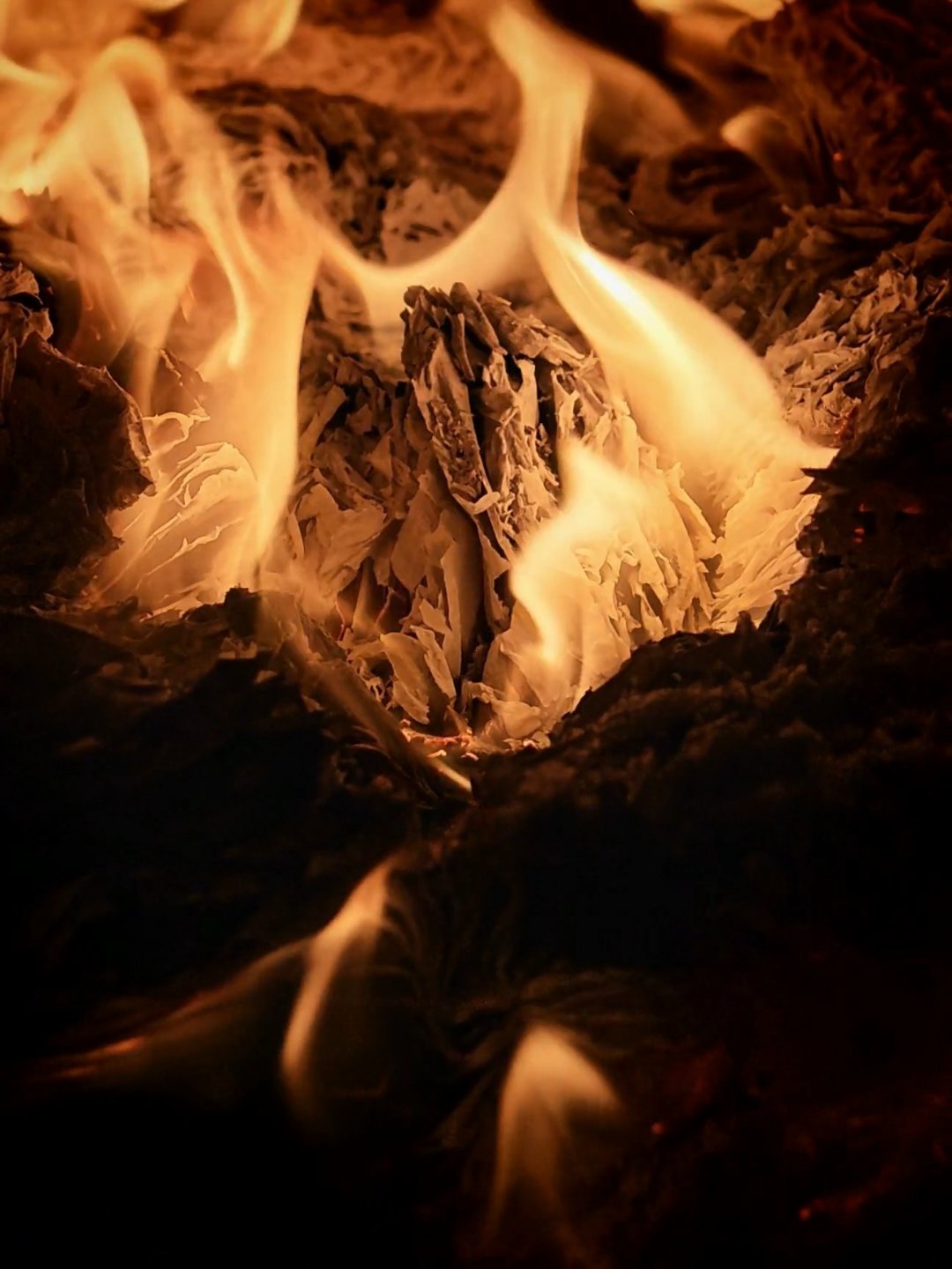 Magic8 Pro相册里面实况照片的这个AI精彩慢放功能，啥时候上的来着，有点