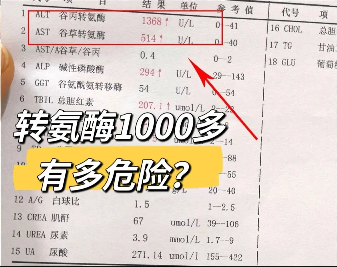 转氨酶1000多究竟有多危险？我们都知道转氨酶的正常值在40以下，超过...