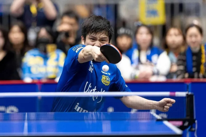 德甲乒乓：樊振东独得2分难救主，萨尔布吕肯2-3富尔达!德国乒乓球甲级联赛第二十