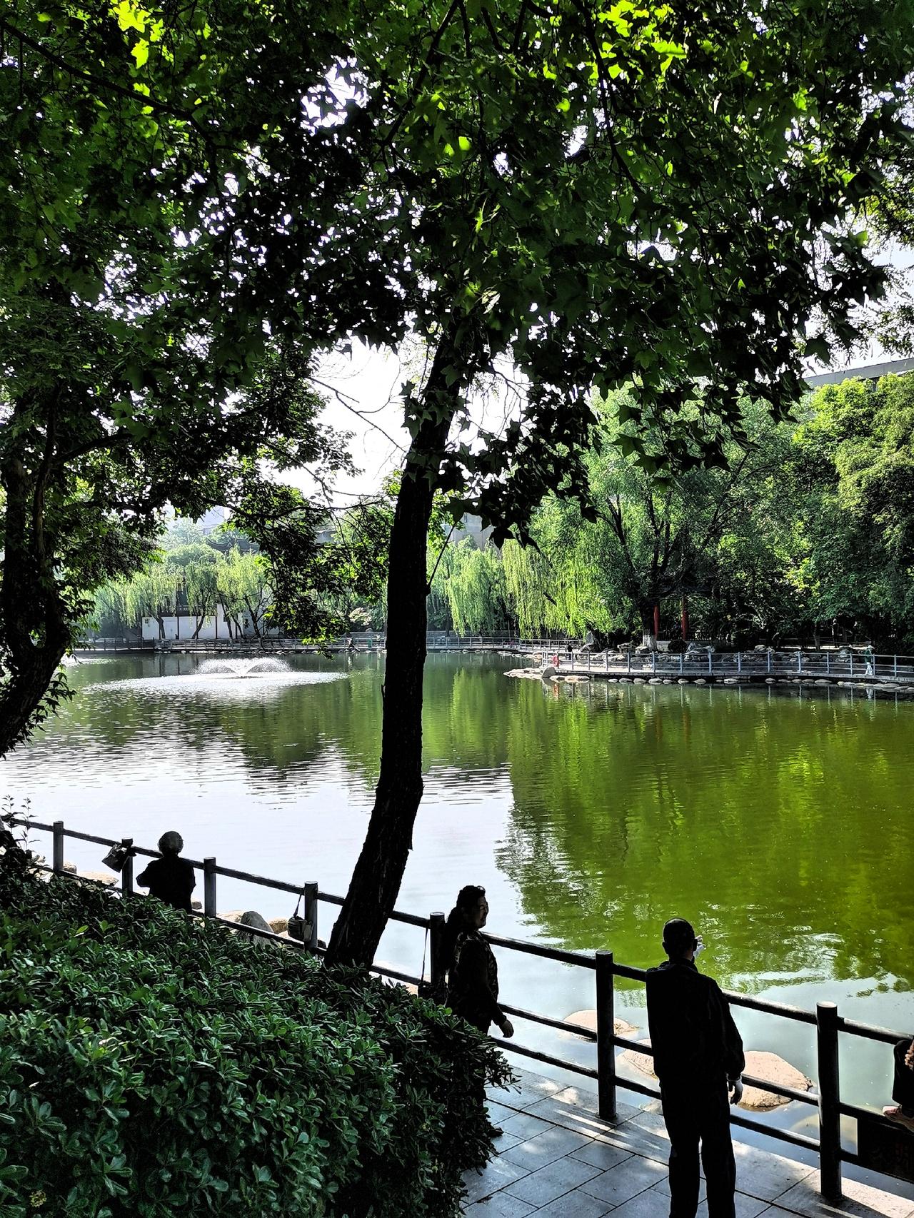 春色满园关不住晒图笔记大赛莲湖区公园美景 西安春天打卡 莲湖之春 

莲湖公园里
