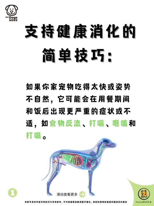 支持健康消化的简单技巧