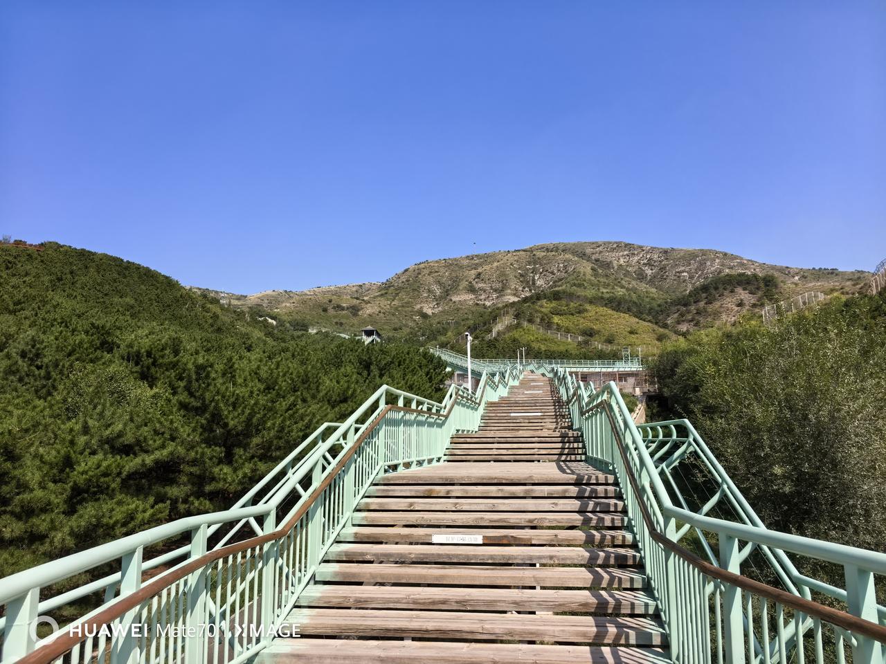 打卡呼和浩特大青山野生动物园！