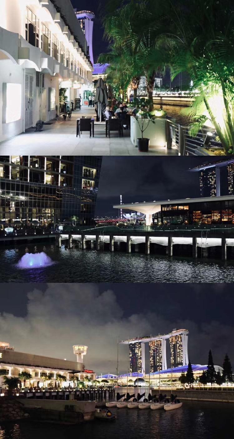 狮城新加坡，花园城市，每一步都是风景#新加坡 #地标建筑 #打卡最红地标 #灯火