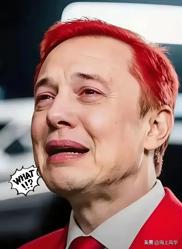 新消息，马斯克涉嫌欺诈！
​2026年3月21日，美国加州联邦法院陪审团作出裁决