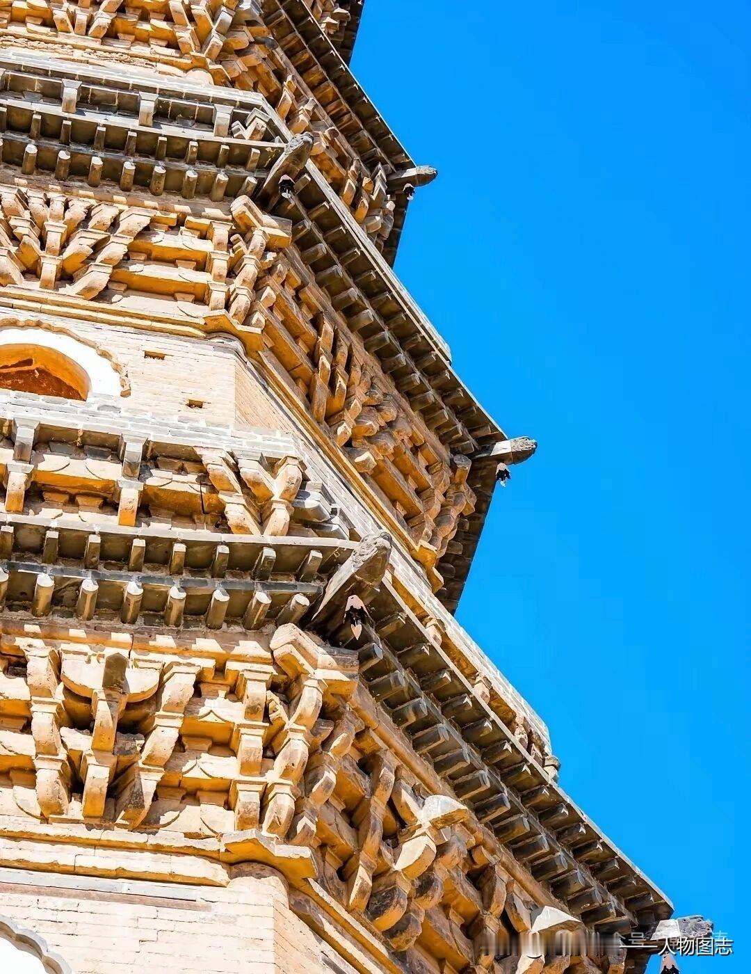 春日生活打卡季