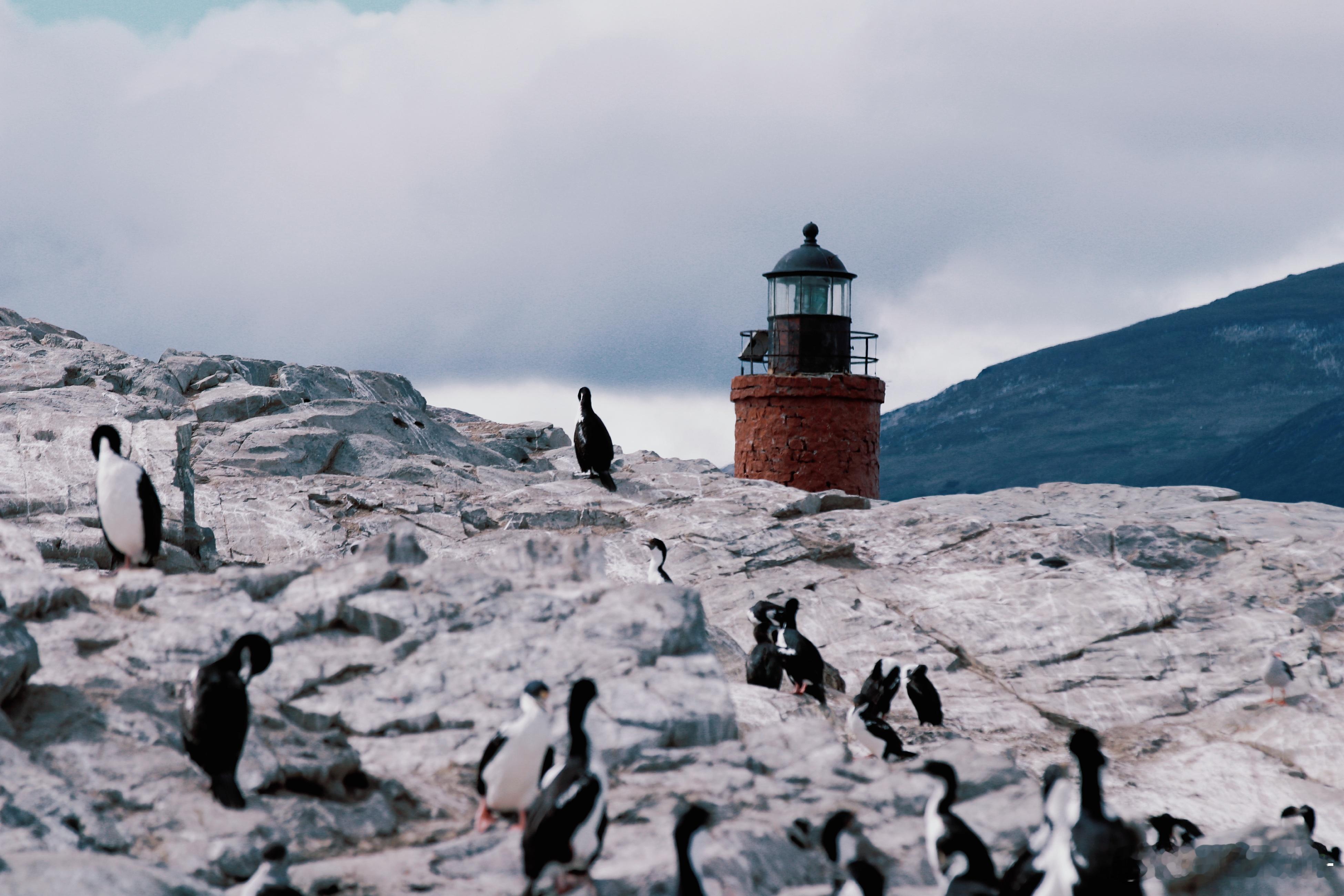 高中看春光乍泄的时候一直把这个灯塔当pad背景！没想到有生之年居然尊嘟来到了这个