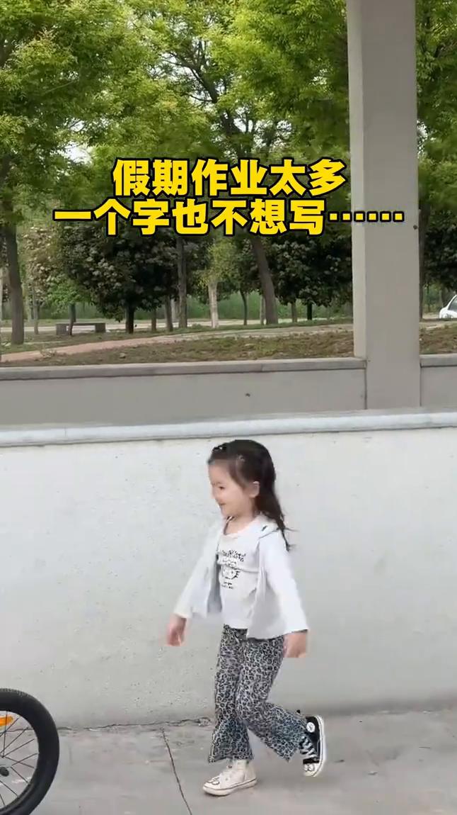 假期作业太多，一个字也不想写。