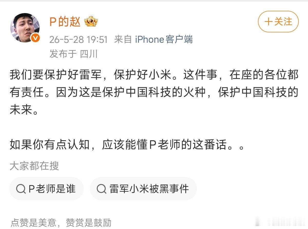 万能的大P