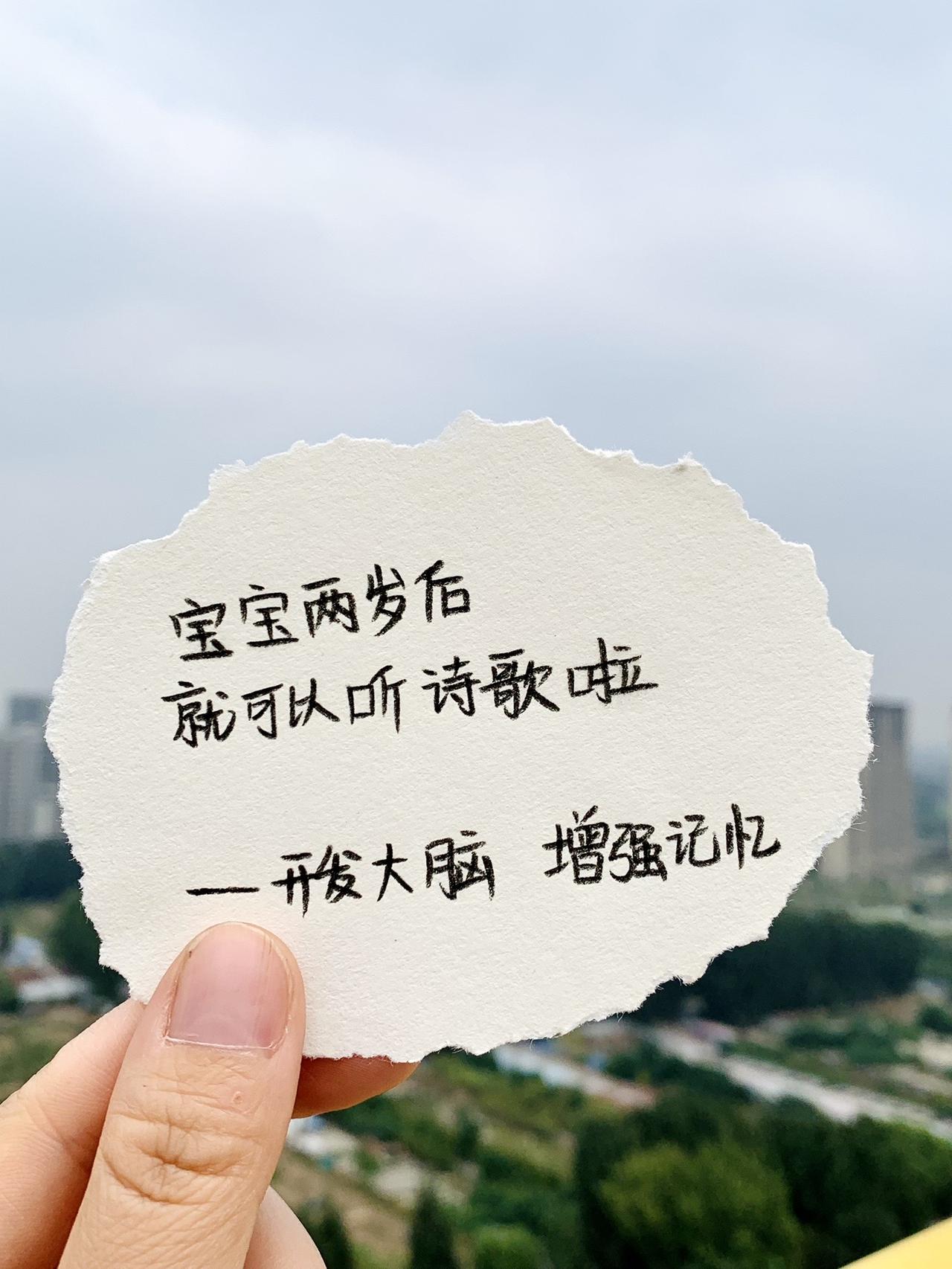 爸爸买的卡片机，一插即读，336 首古诗词和510个中英文，由易到难，循序渐进，