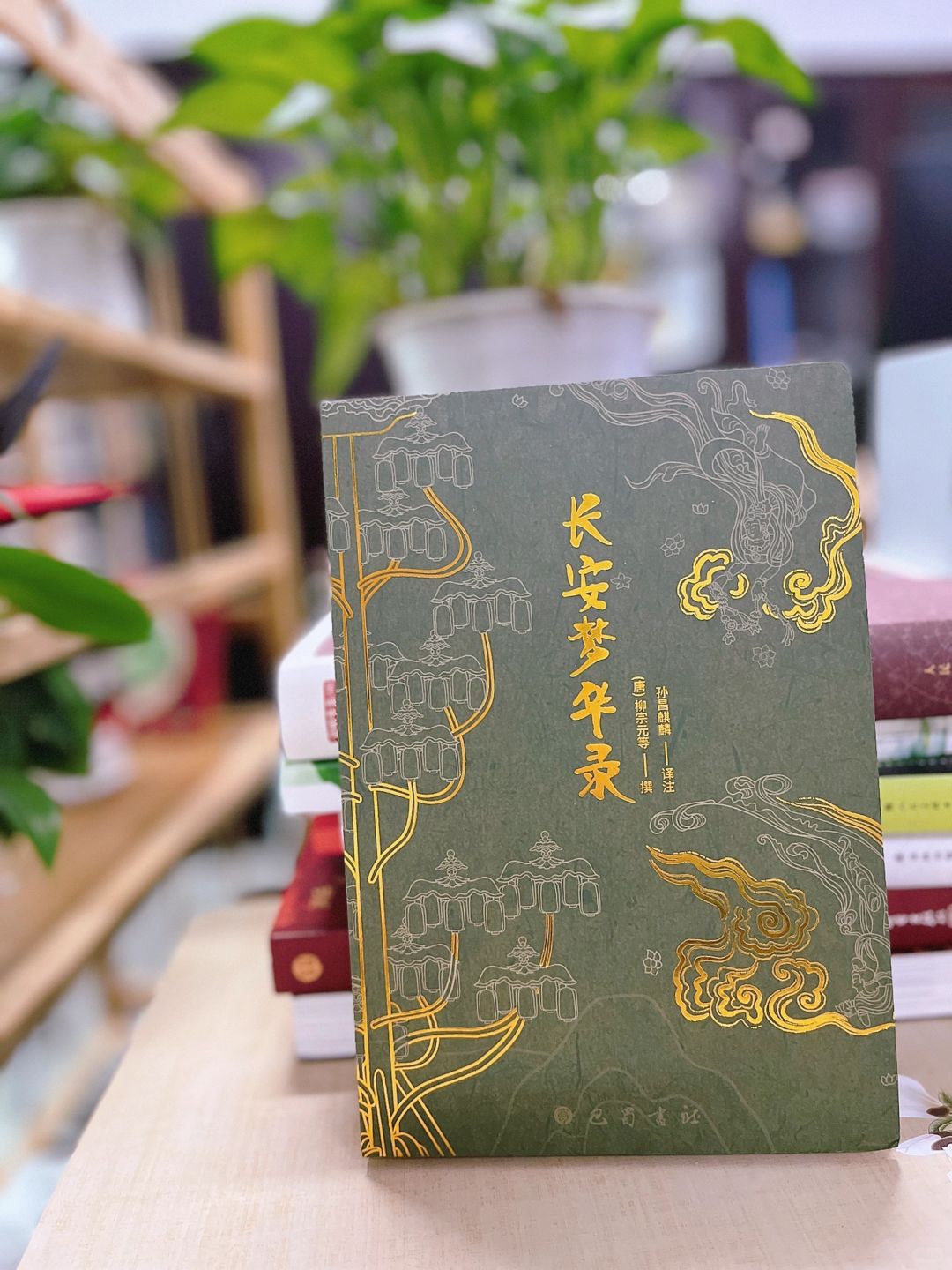 500个野生故事 沉浸式感受大唐盛衰