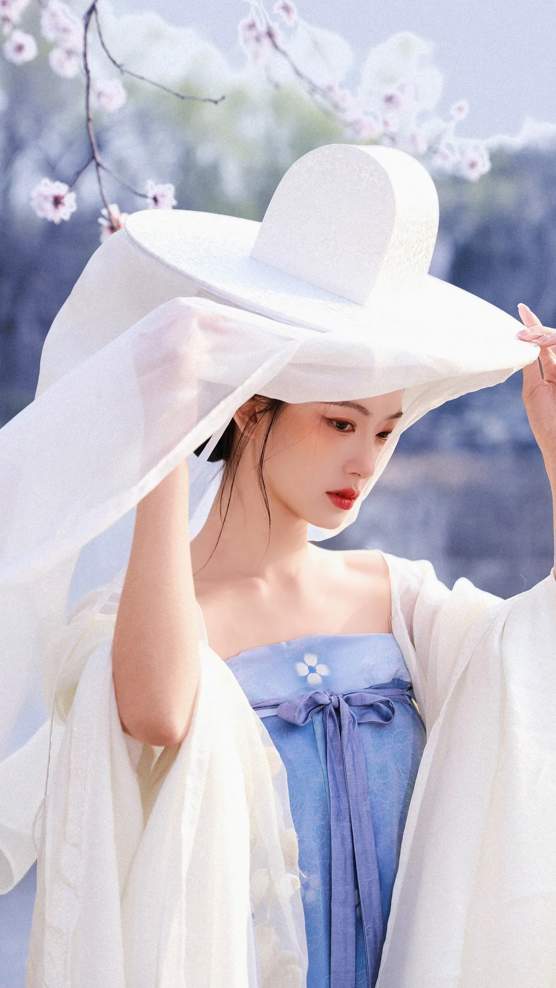 桃花坞里桃花仙