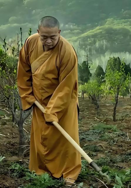 释永信的问题曝光后，估计最难受的应该是那些烧香拜佛求财的人人。没曾想，他们求佛没