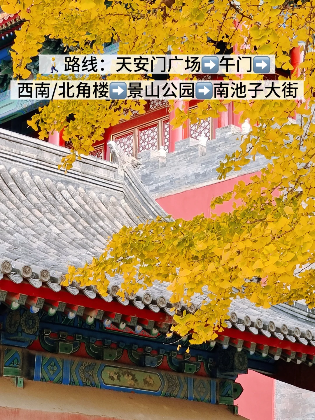 北平的秋终于要来了‼️暴走3日游>打工人速存