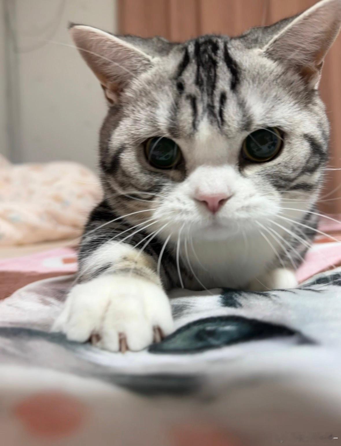 最近辅助引体一直在减片！尝试了下引体向上脚腾空了几下