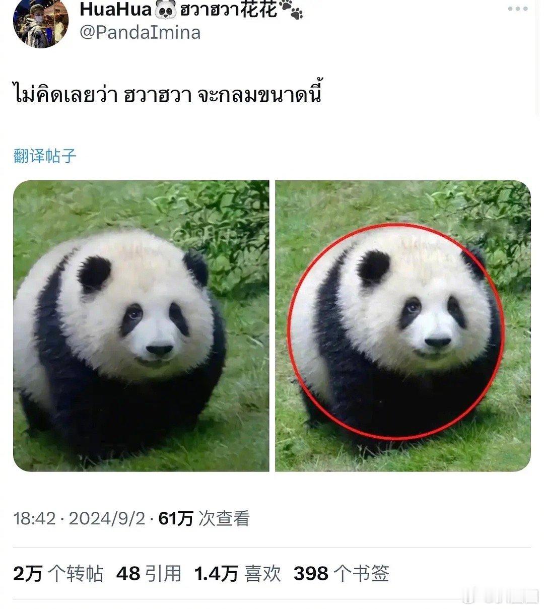花花在外网爆了，不愧是我们女顶流～ ​​​