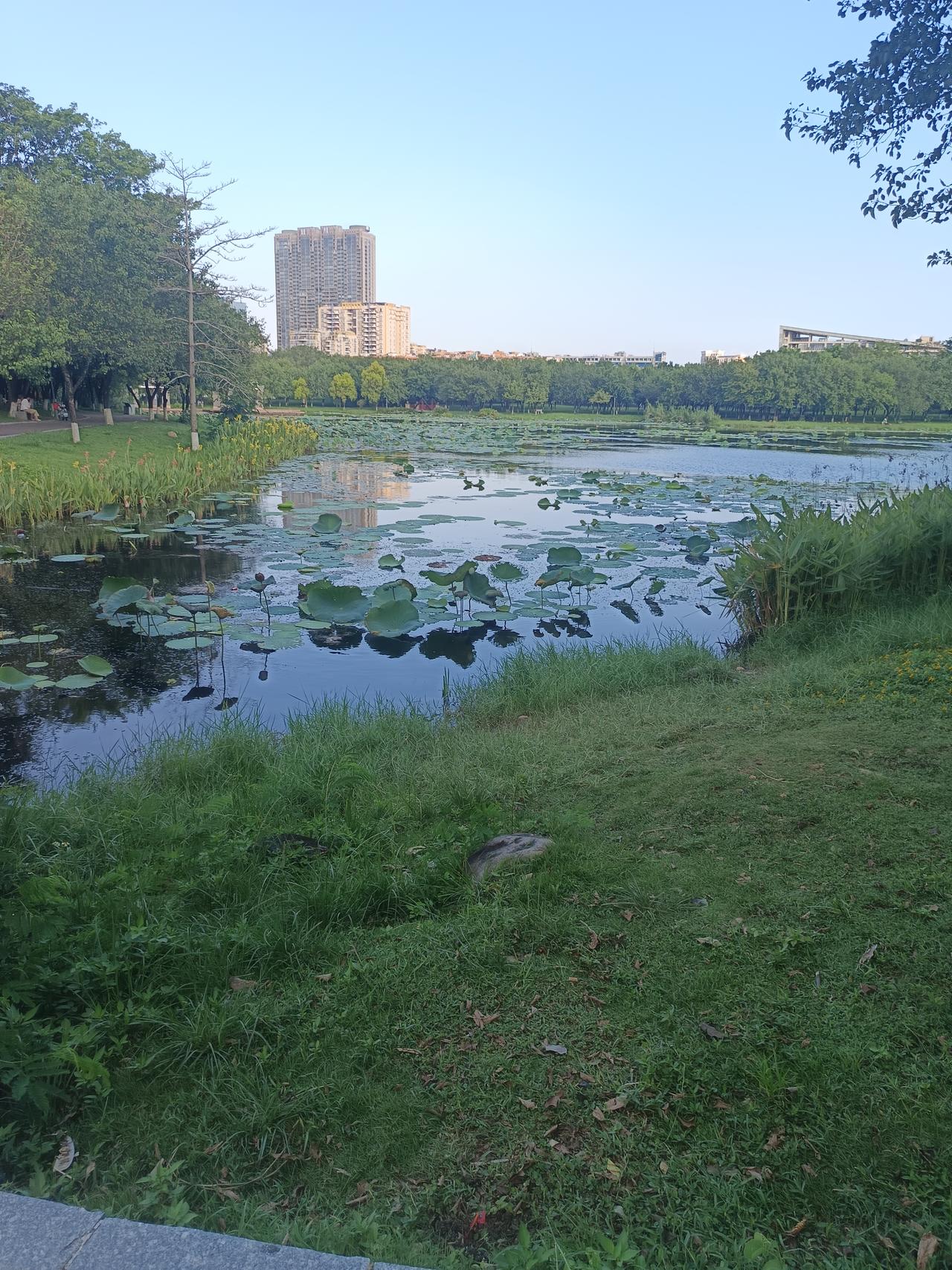 不敢相信吗？这就里就是
肇庆市的七星岩风景区
环境优美，真的适合养老养生。