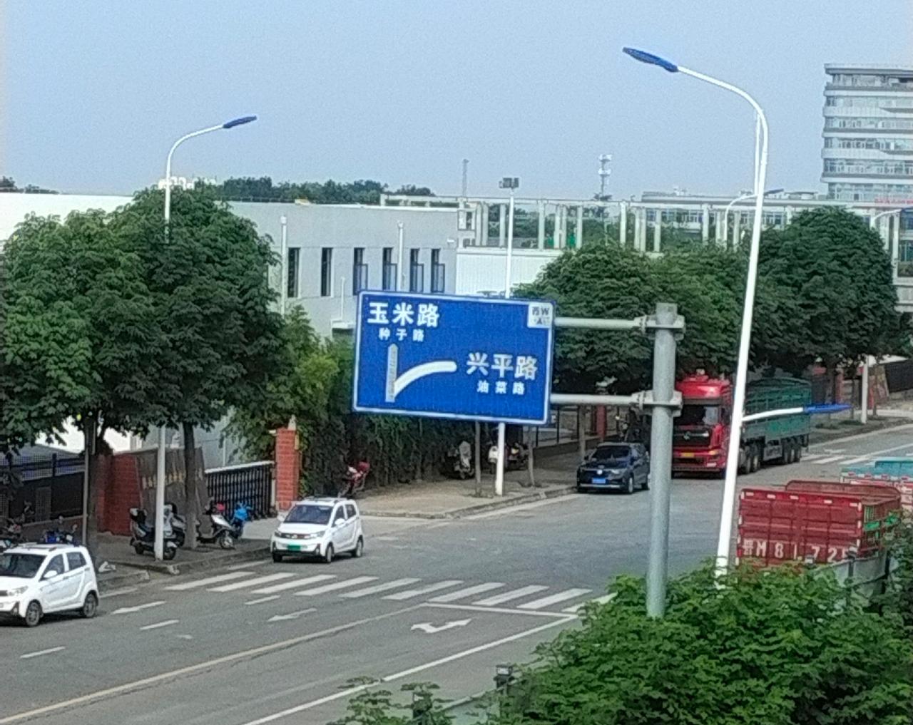 油菜路、种子路、玉米路！
你见到过这样以种子命名有趣的路牌吗？
这块趣味十足的农