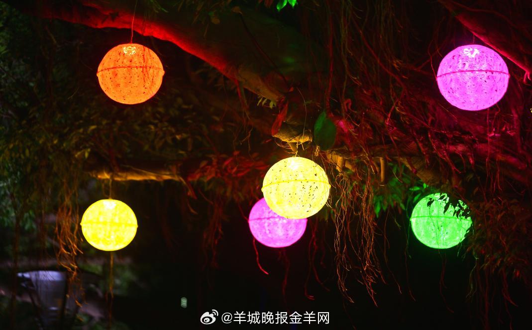 #晚安#当你用心对待每一个当下，生活也会在不经意间，让你与期待的美好撞个满怀。 