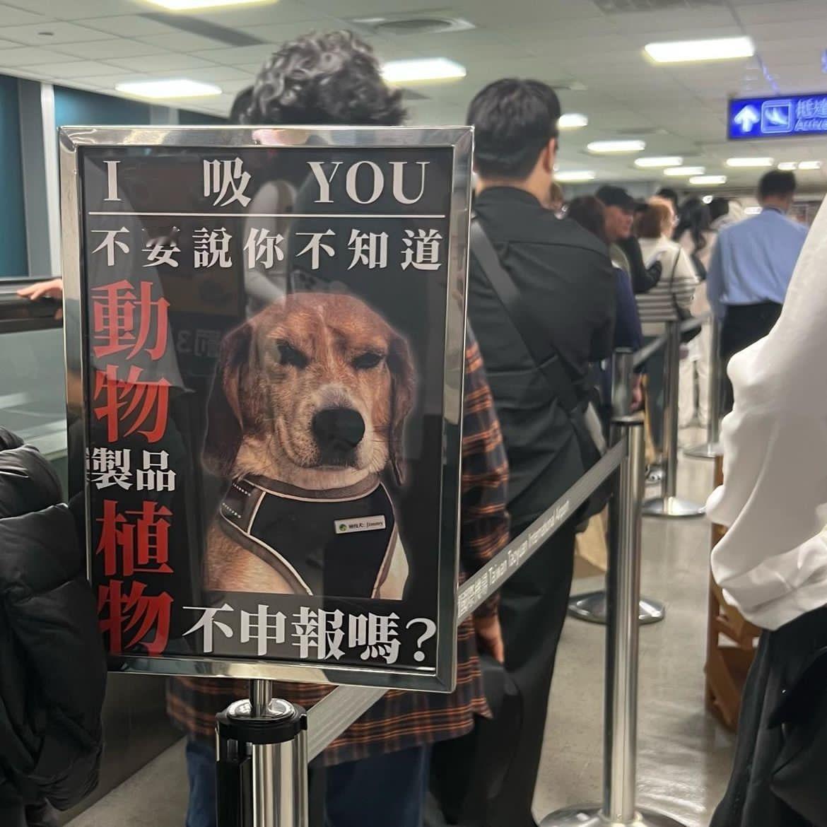 可愛鼠 ​​​