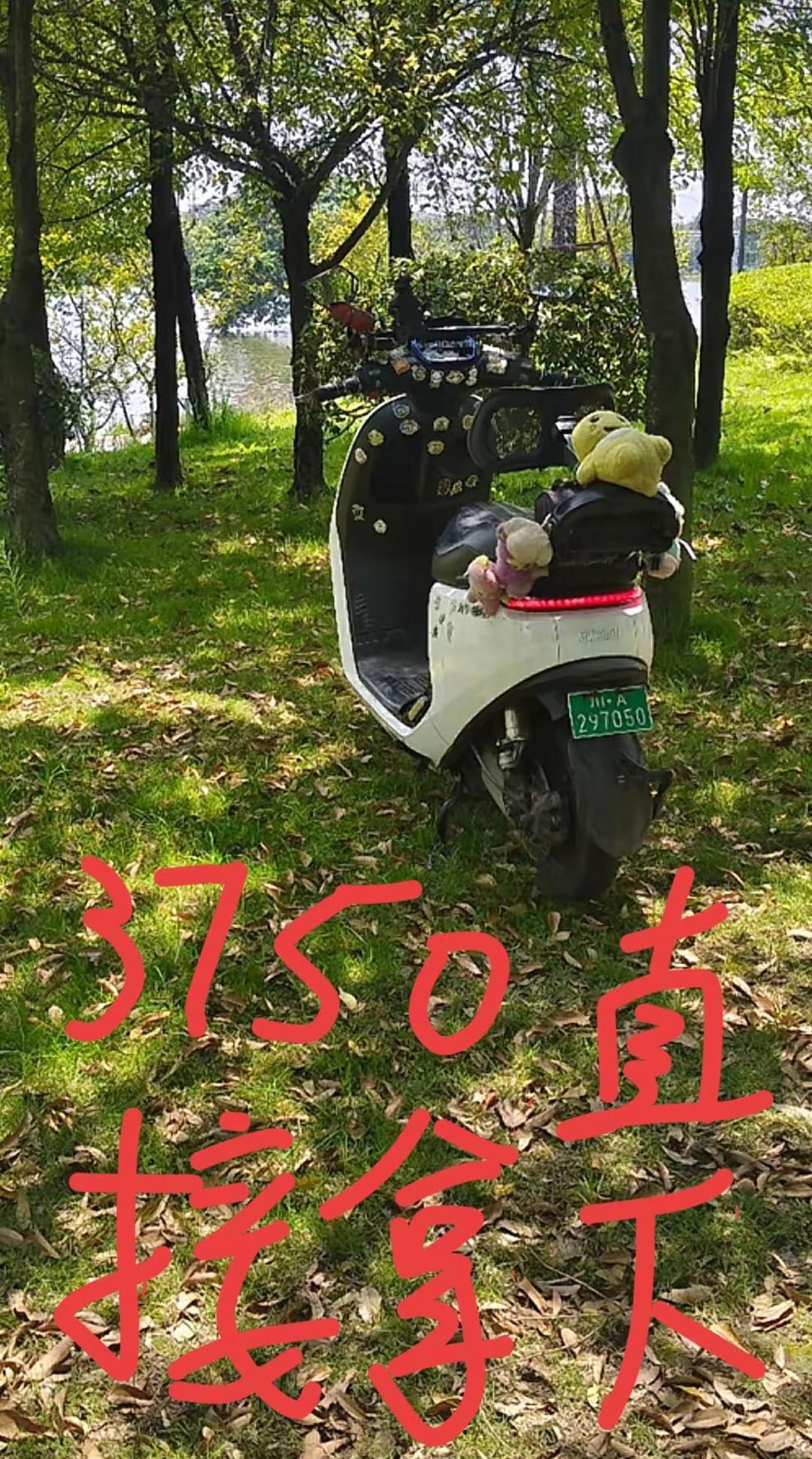 出售出售，可以来看车九号E100.更换e300原厂平叉e200p避震 更换第三方