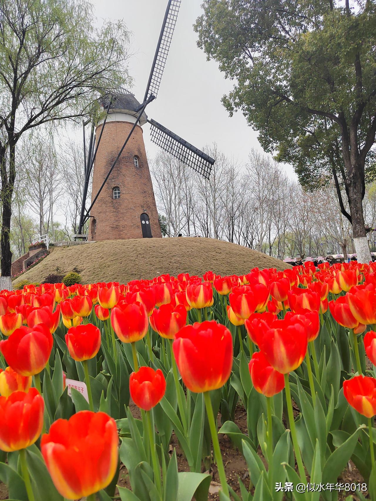 春分遇上龙抬头，双喜临门，今日南京天气多云，气温渐暖，乍暖还寒间遵循洋葱式穿衣法