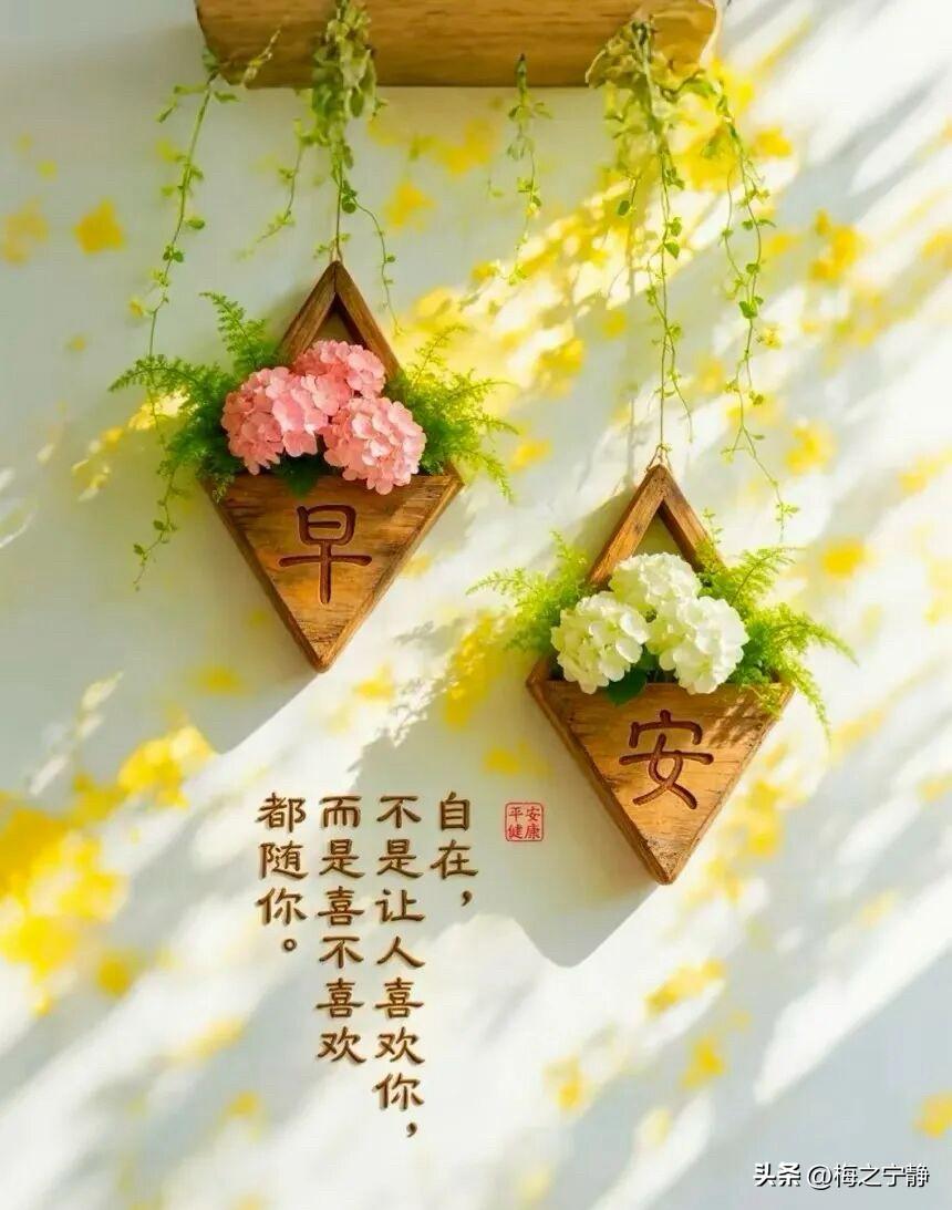 🍂²⁰²⁶/₀₈.₂₆ᵕ̈周三｜秋晨向暖☕️

一夜秋风，褪去余下的燥热，清晨