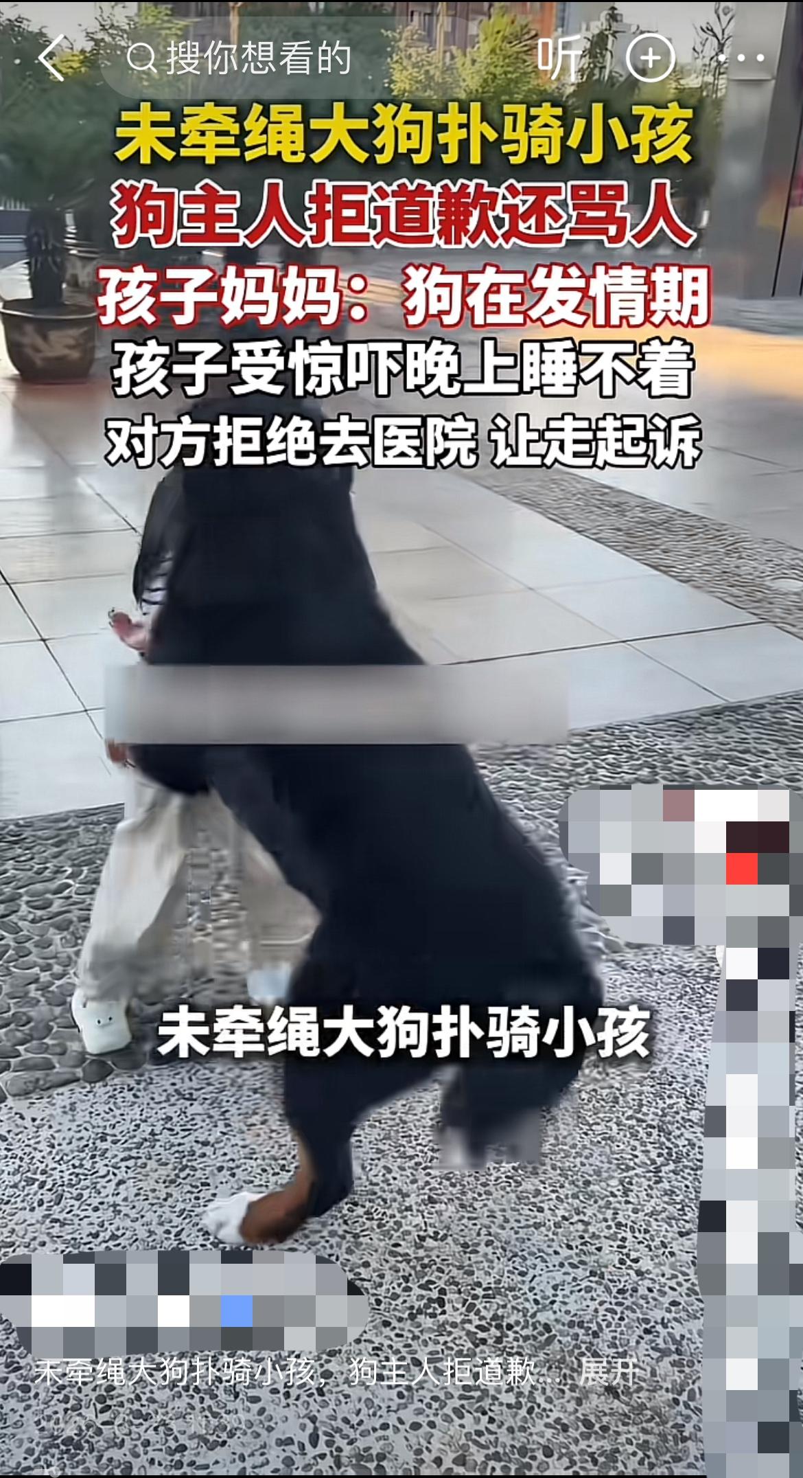 “你家没牵绳的大狗扑我家8岁姑娘，凭啥连句道歉都不肯说？” 护着孩子的母亲攥着孩