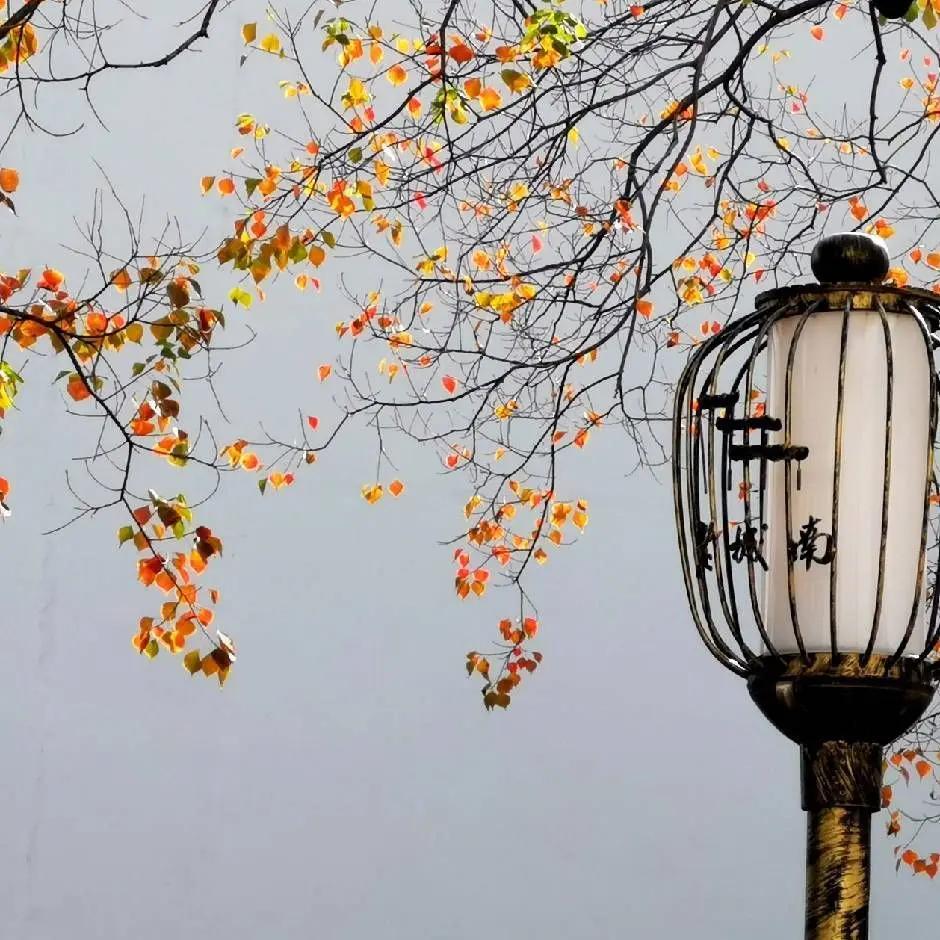 今天接待了一位来自南京的高三学生家长，他想跟我预约老师的时间。不过当下很多老师的