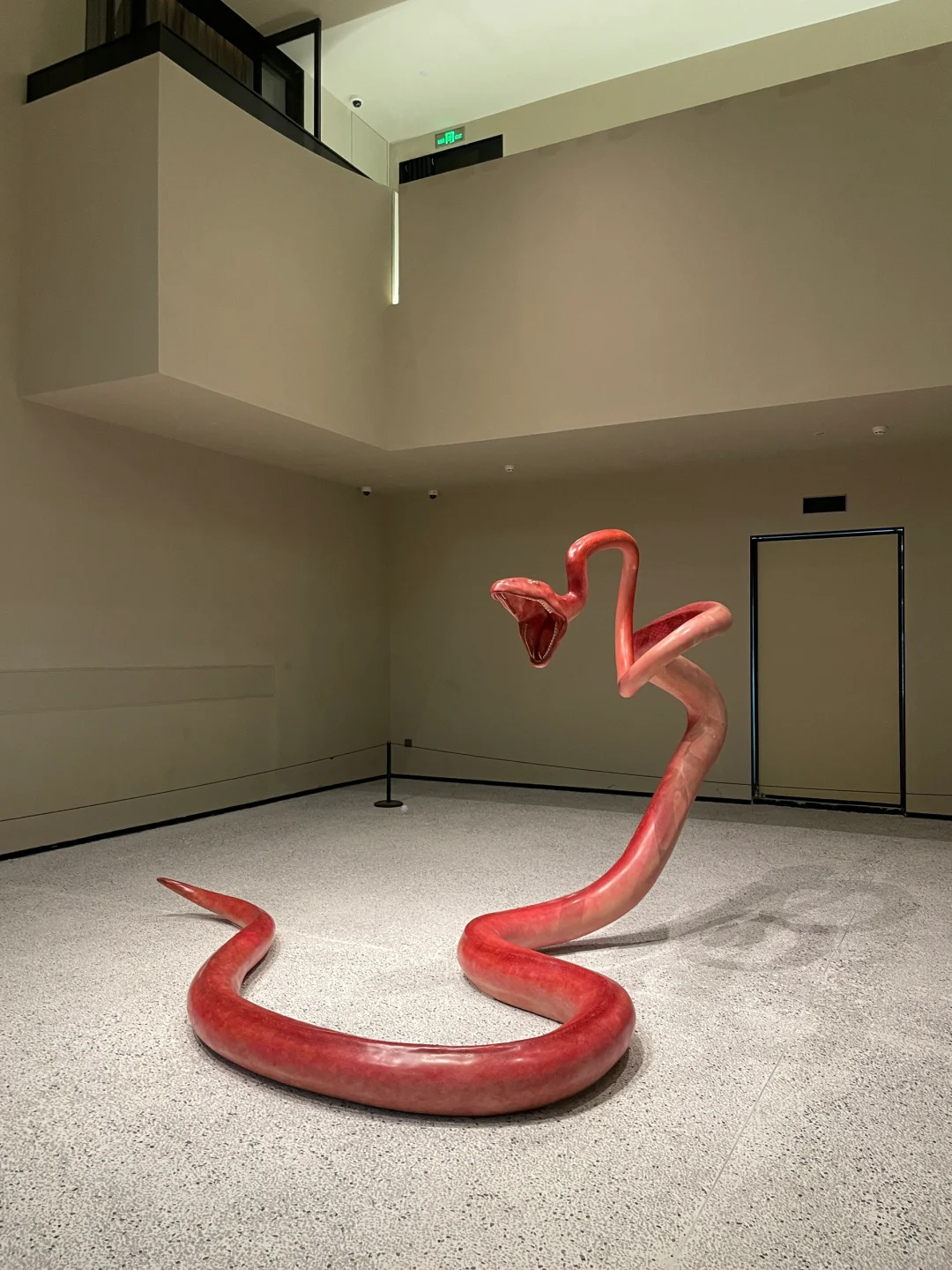 深圳免费看大蛇｜美少女与🪱，视觉冲击震撼