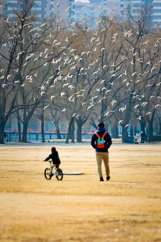 三月宜骑行💨幼崽可骑行北京公园大集合