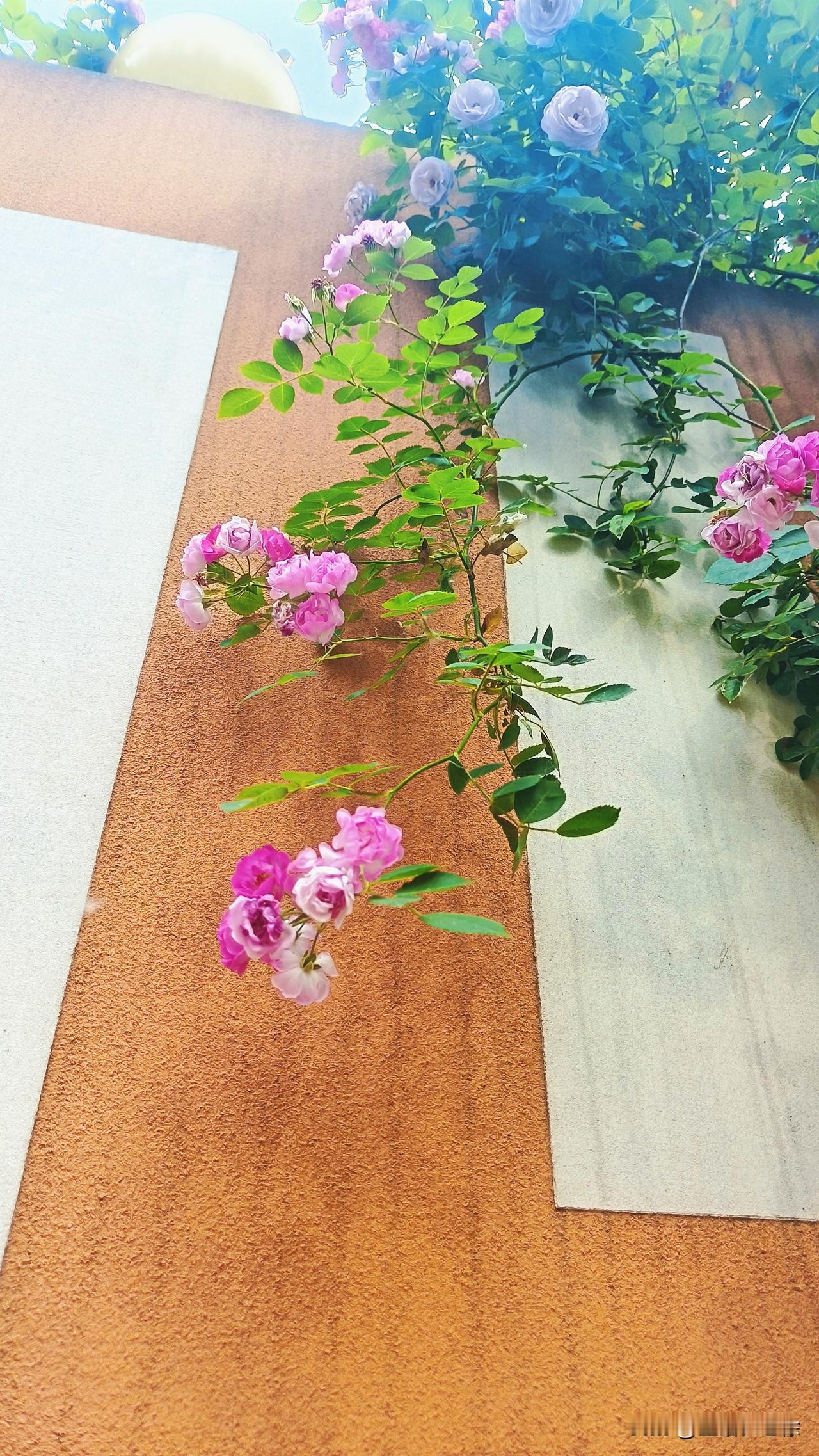 需要你们的时候，你们就是人才，不需要你们的时候，你们就是垃圾，而有时候，垃圾只是