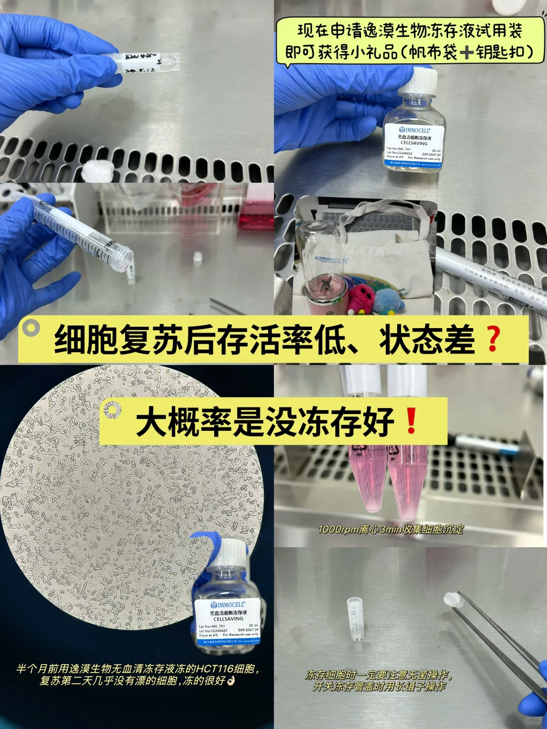 手把手教你细胞冻存❗（提高复苏存活率～）
