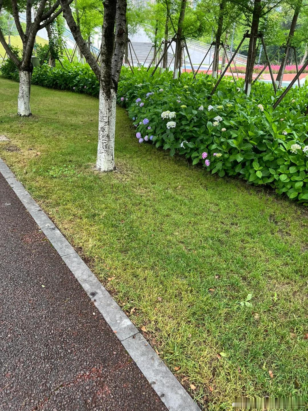 早上跑步的心情真是无比美好[微风]金油趋势专家-唐生 ​​​